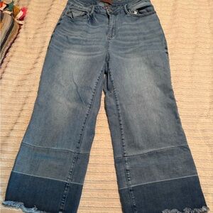 Judy Blue Jeans